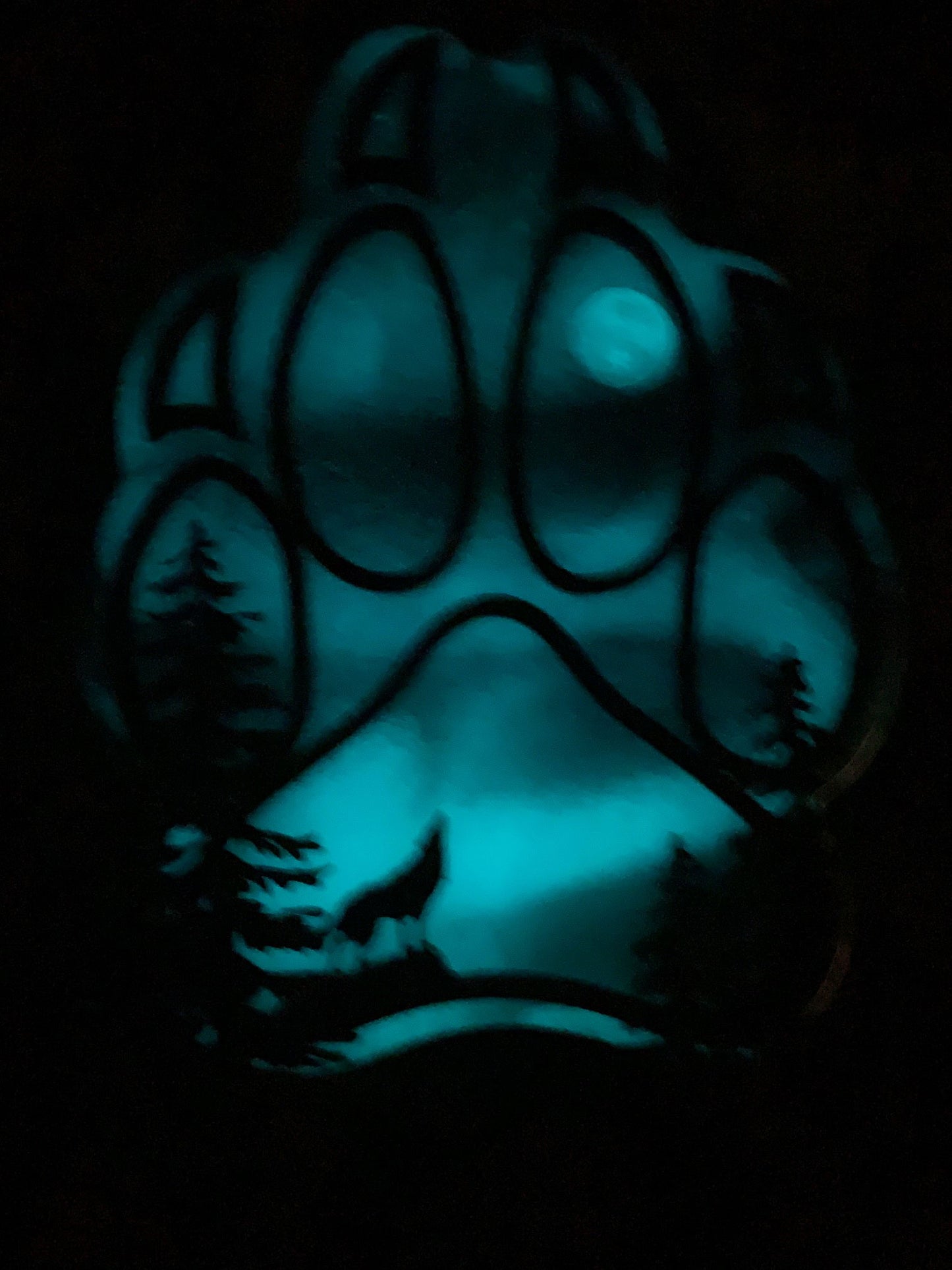 Full Moon Mini Wolf Paw Northern Lights Resin Art