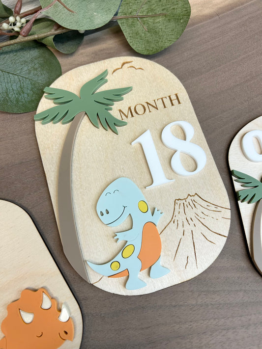 Dinosaur Baby Milestone Set