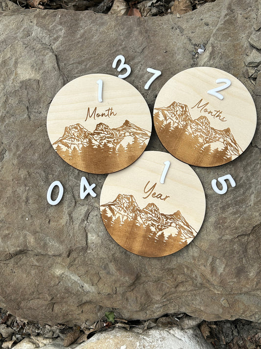 Three Sisters Baby Monthly Milestone Set