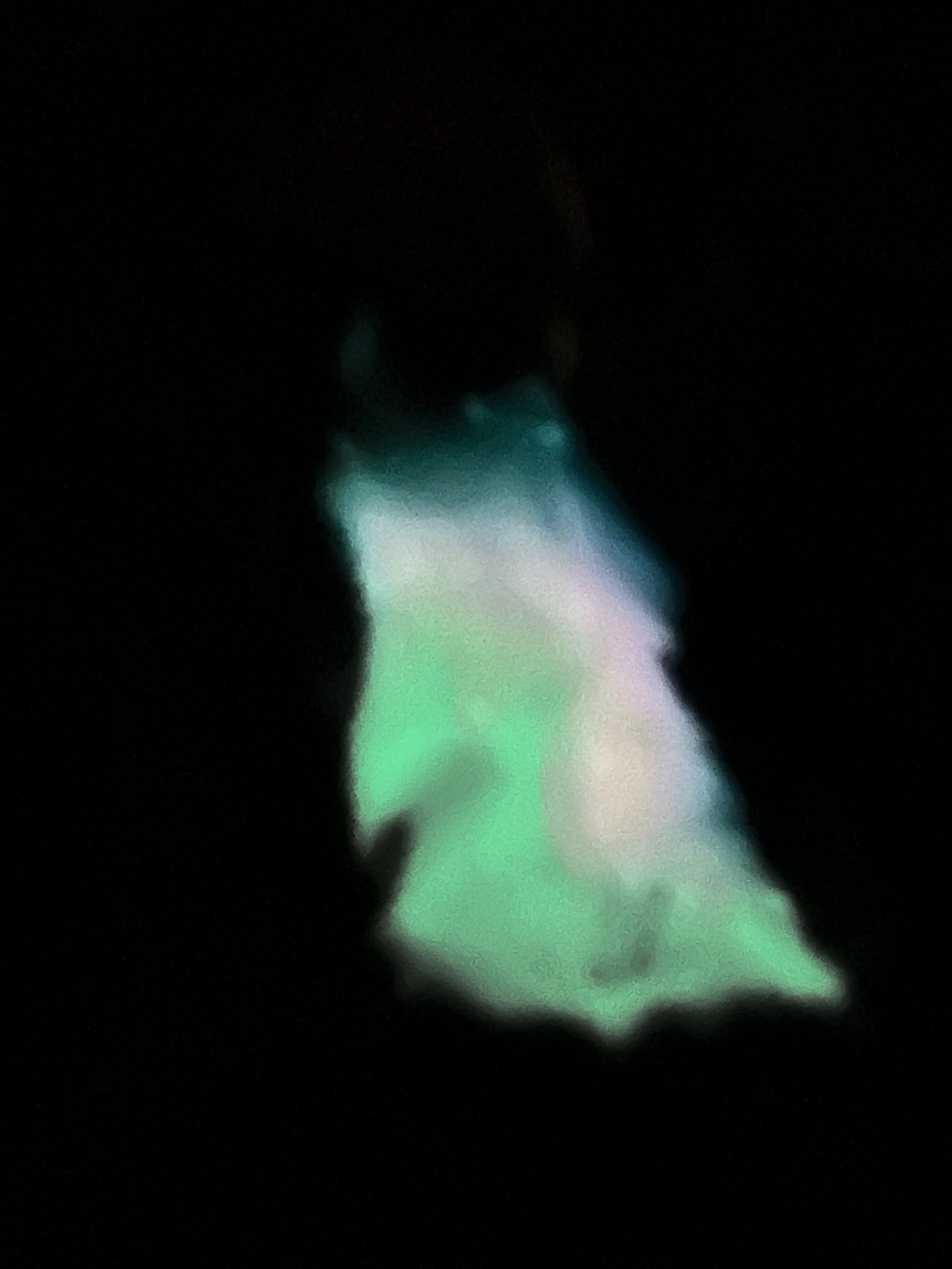 2025 Aurora Wolf Resin Art Christmas Ornament