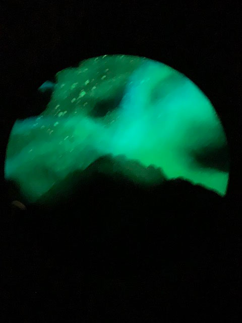 Rocky Mountain Northern Lights Resin Coaster