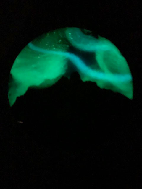 Rocky Mountain Northern Lights Resin Coaster