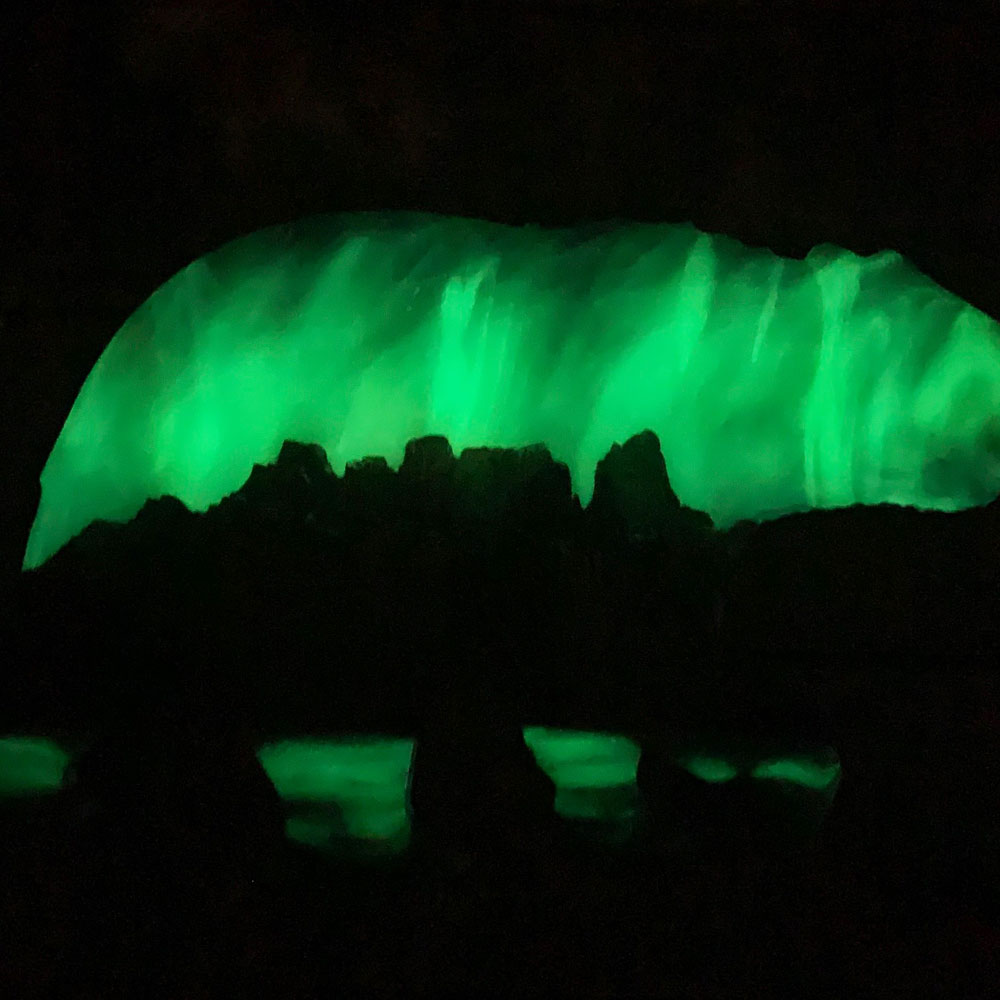 Castle Mountain Northern Lights Resin Art Bear