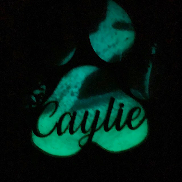 Northern Lights Resin Dog Name Pawprint Ornament