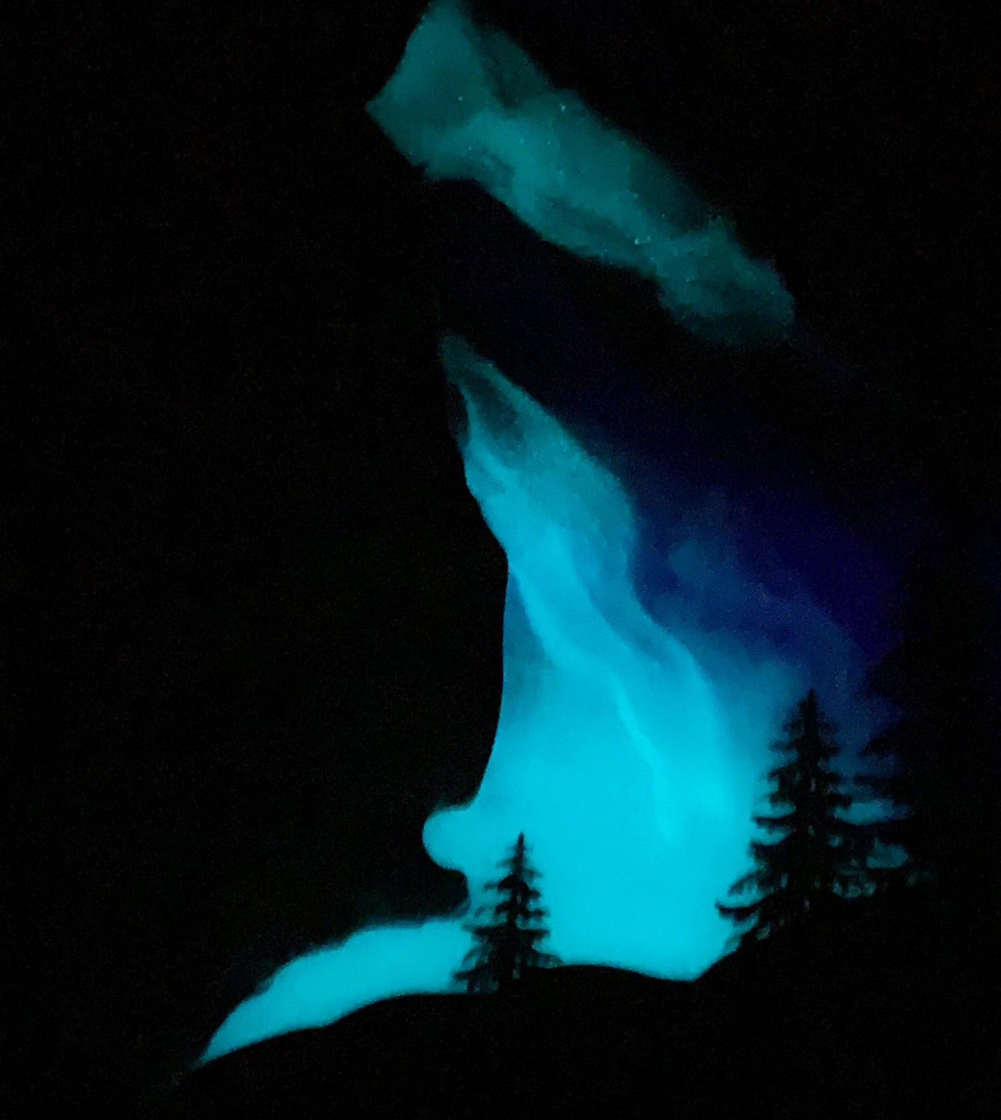 Fox Northern Lights Resin Art