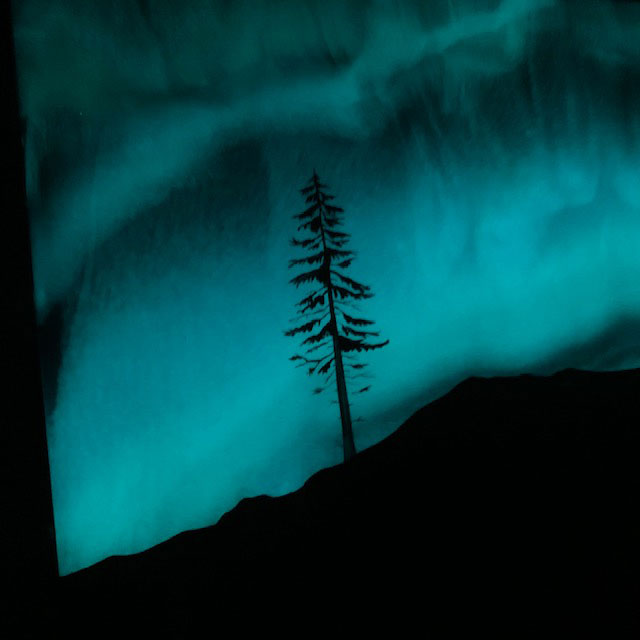 Iiqooa Northern Lights Wolf Art