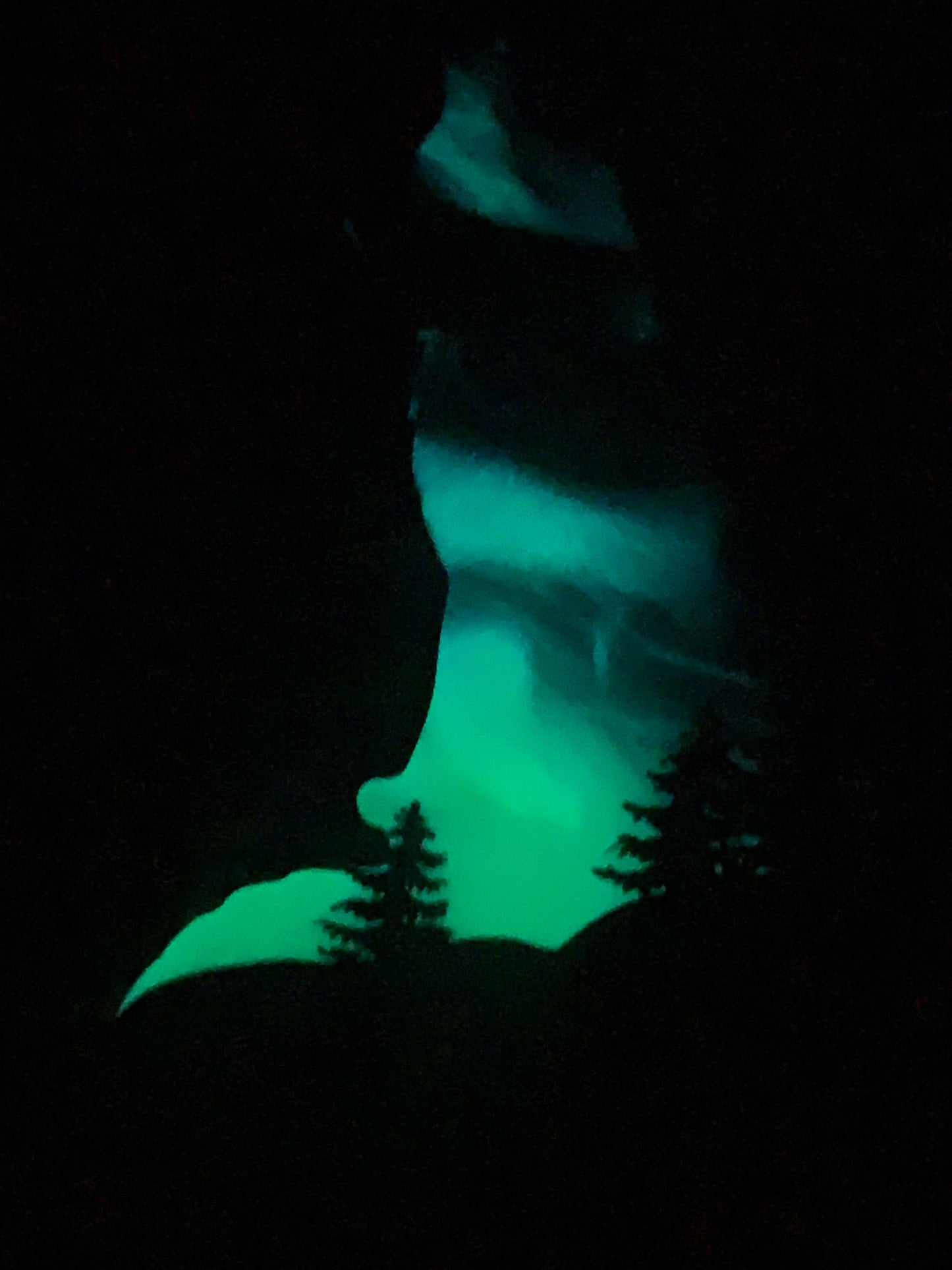 Fox Northern Lights Resin Art