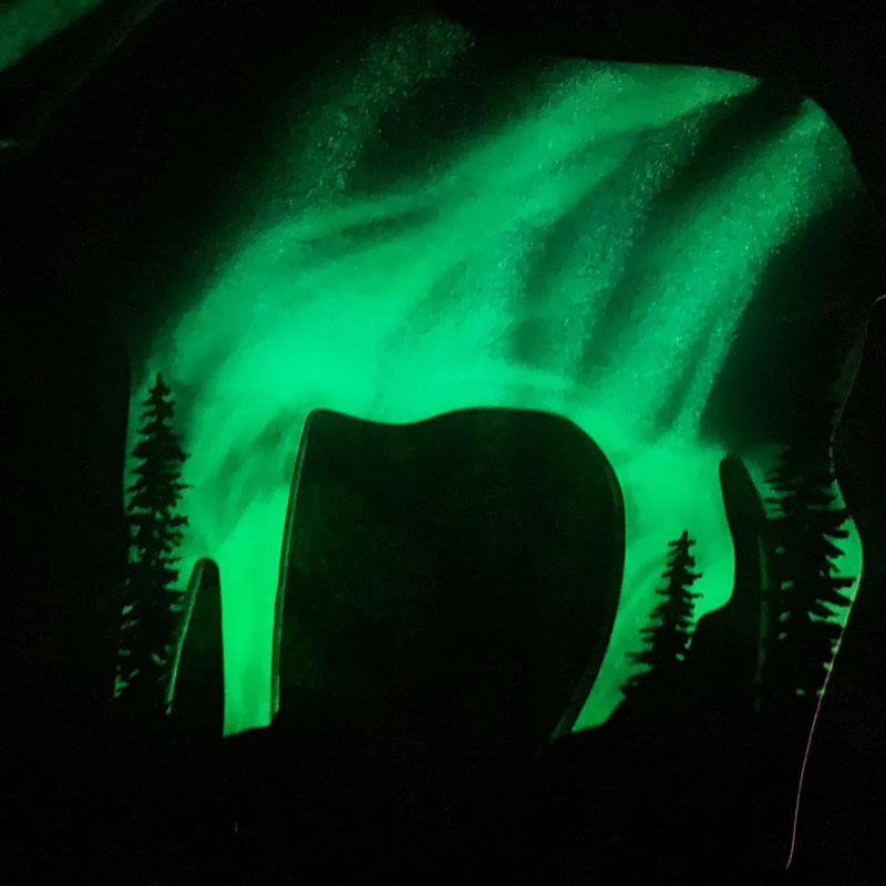 Moose Northern Lights Resin Art Piece