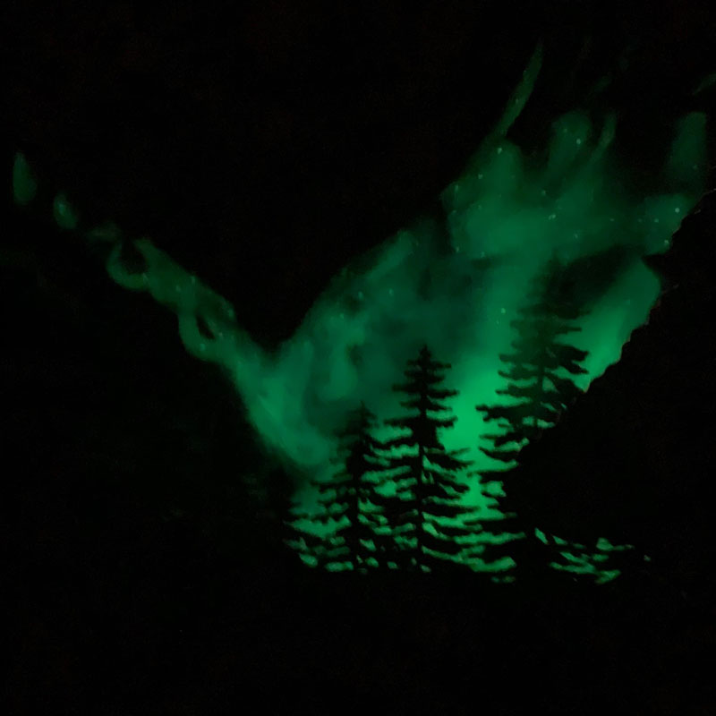 Eagle Northern Lights Resin Art