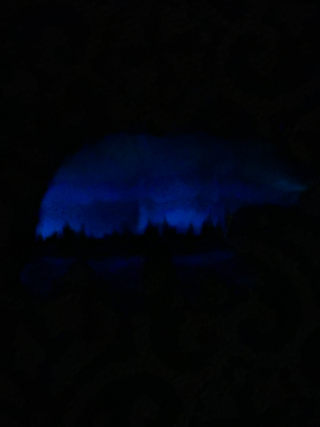 12" Subtle Reflections Northern Lights Resin Bear