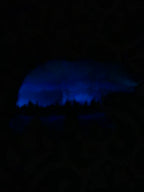 12" Subtle Reflections Northern Lights Resin Bear