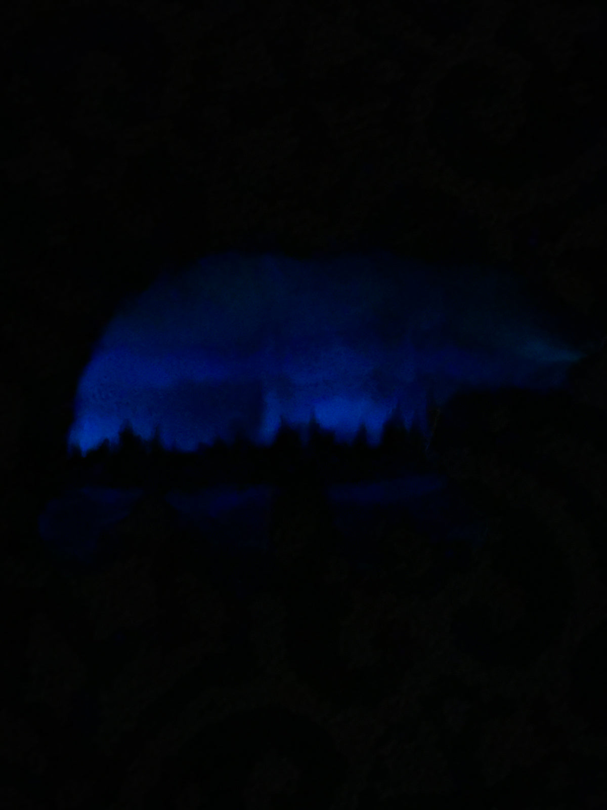 12" Subtle Reflections Northern Lights Resin Bear