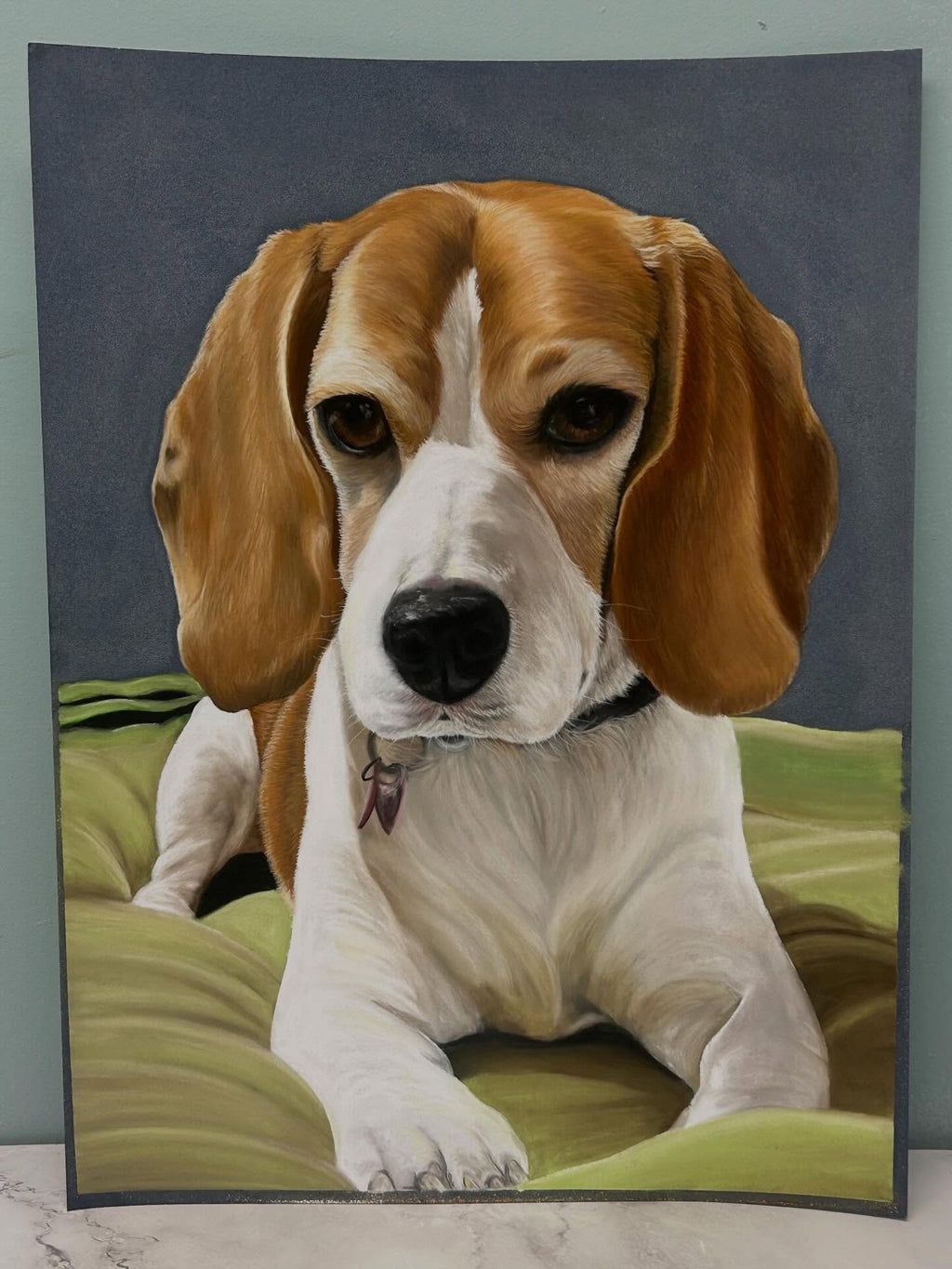Beagle portrait drawing
