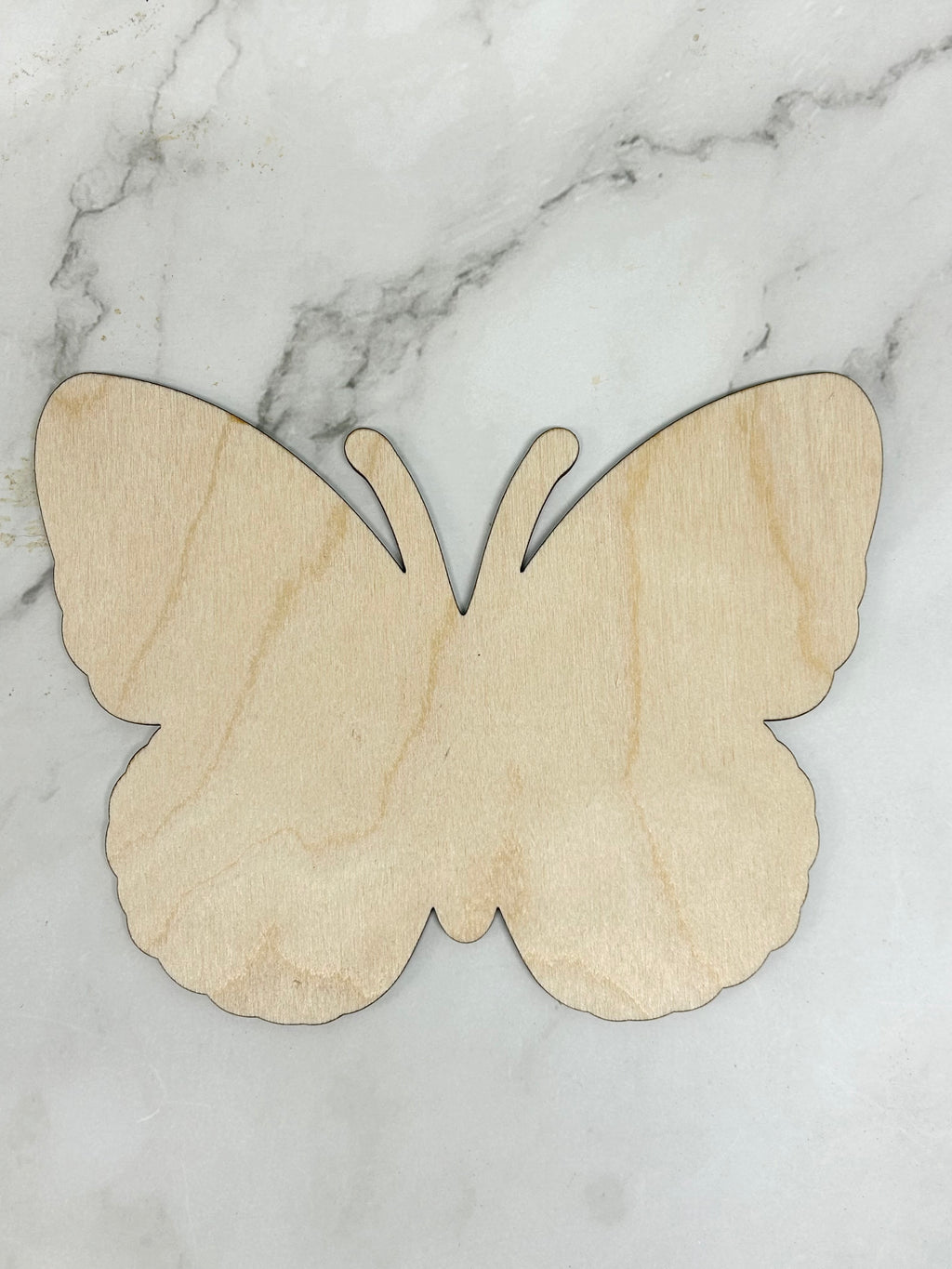 Mini Butterfly Wood Shape With Silhouette Set