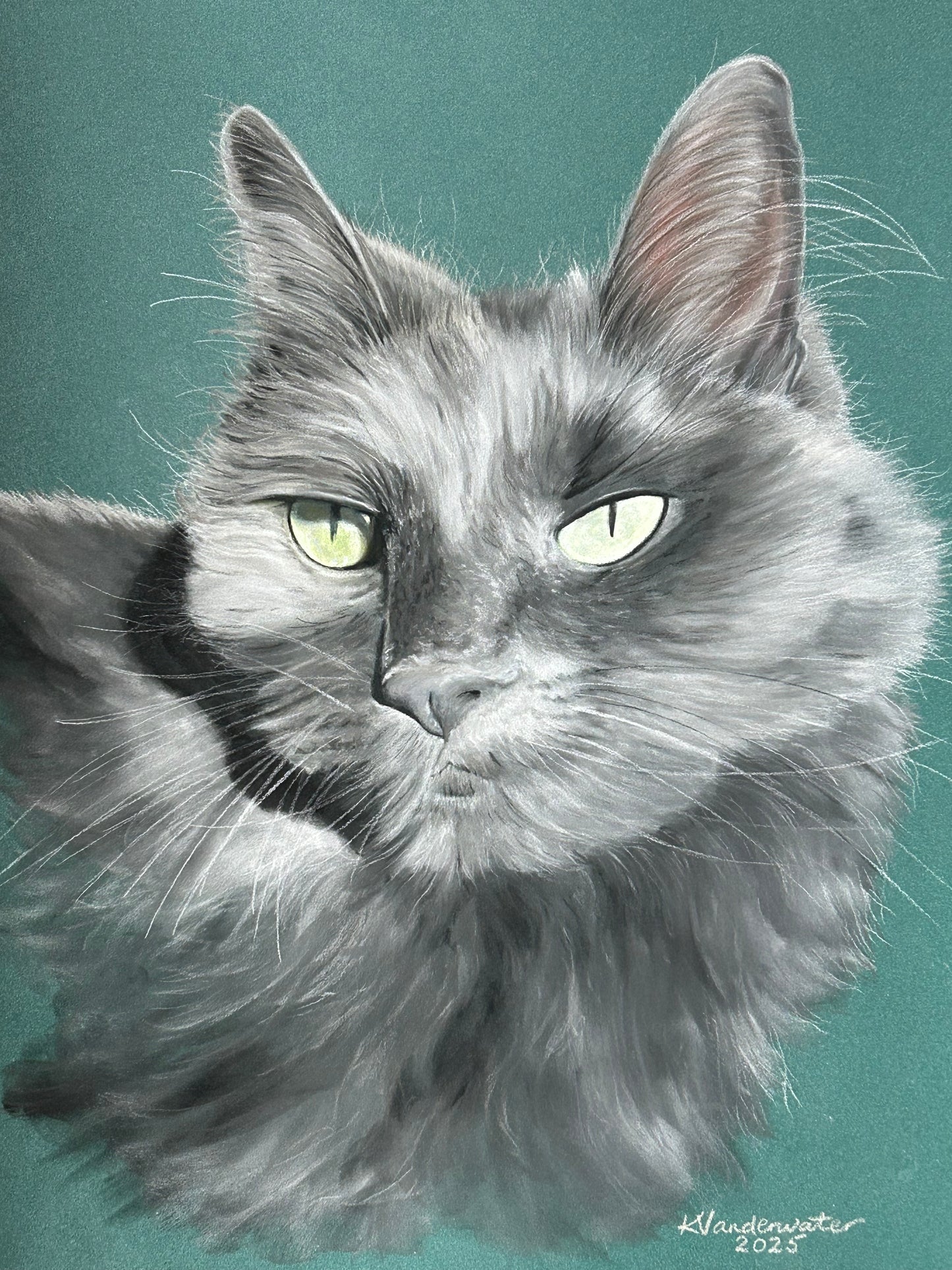 Single Pet Portrait