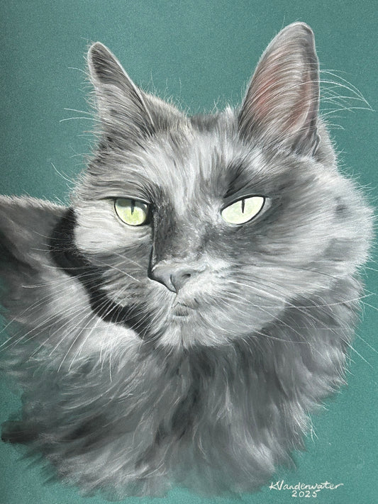 Single Pet Portrait