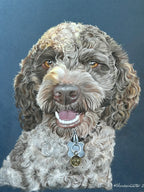 Single Pet Portrait