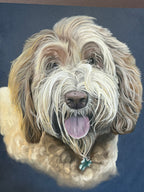 Single Pet Portrait