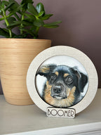 Mini Pet Portrait