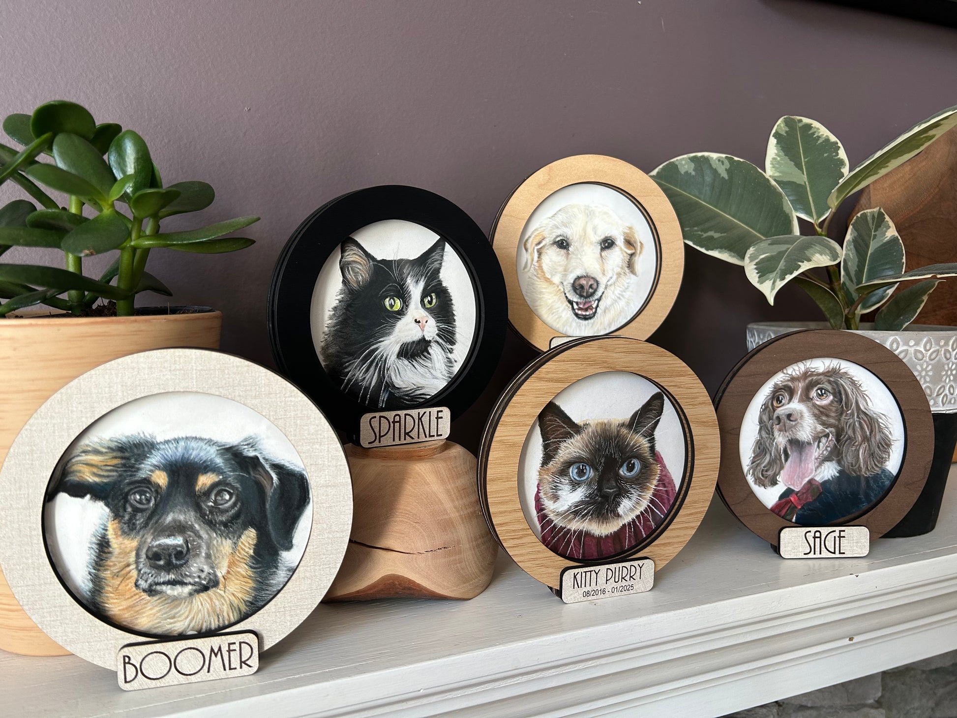 Wooden photo frames with pet portraits on a shelf with plants.