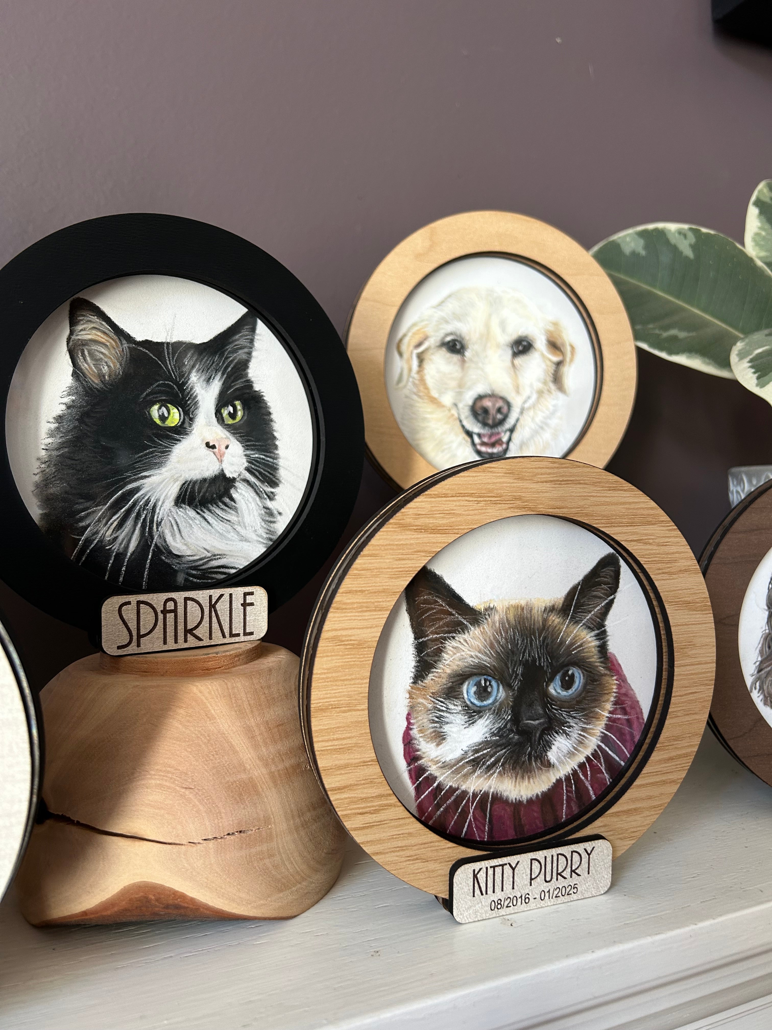 Mini Pet Portrait – Bouncing Off The Walls