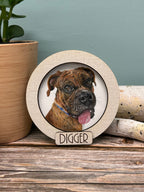 Mini Pet Portrait