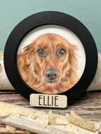 Mini Pet Portrait