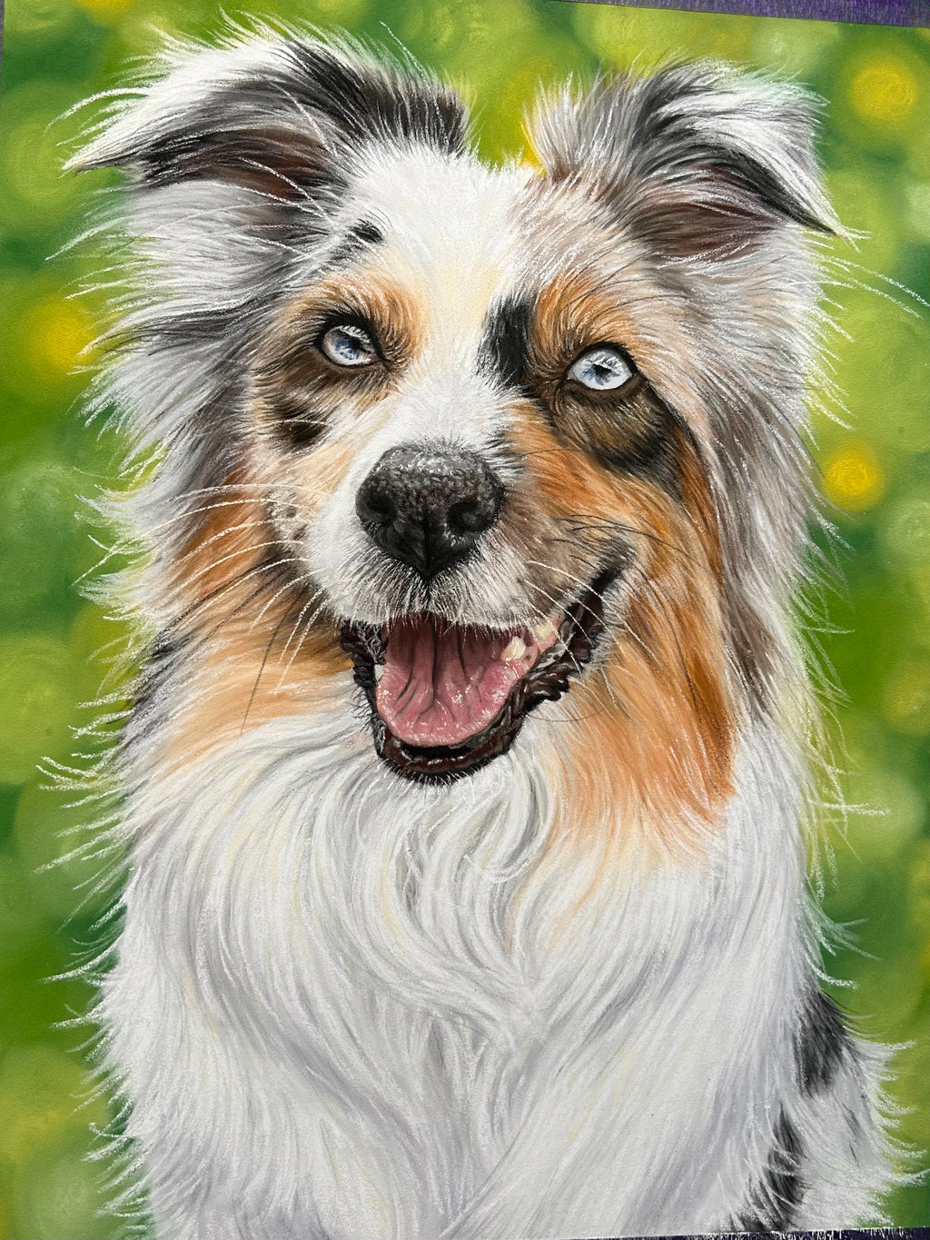 Single Pet Portrait