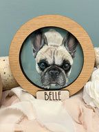 Mini Pet Portrait
