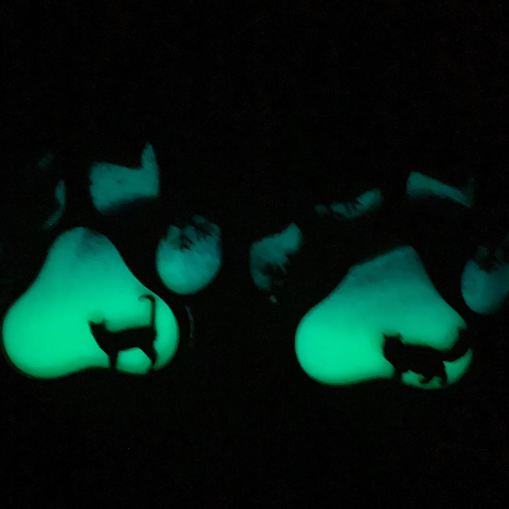 Northern Lights Resin Cat Paw Christmas Ornament