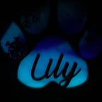 Northern Lights Resin Dog Name Pawprint Ornament