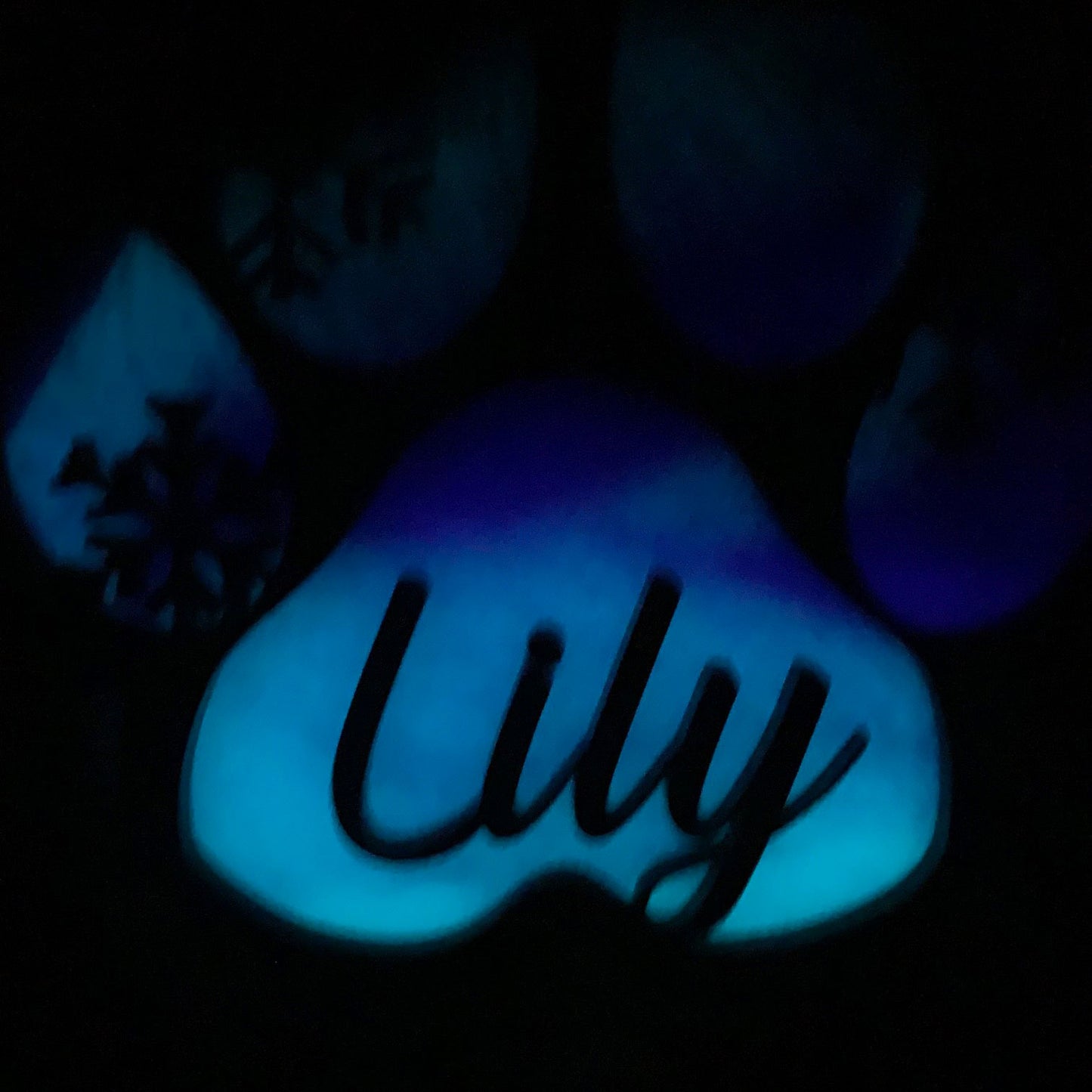 Northern Lights Resin Dog Name Pawprint Ornament