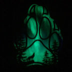 Mini Wolf Paw Northern Lights Resin Art