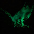 Eagle Northern Lights Resin Art